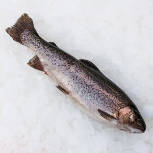 خوراک قزل‌آلا