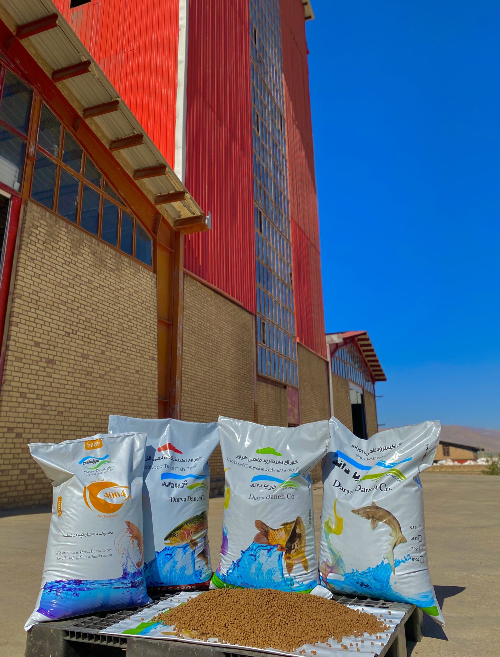 shrimp feed